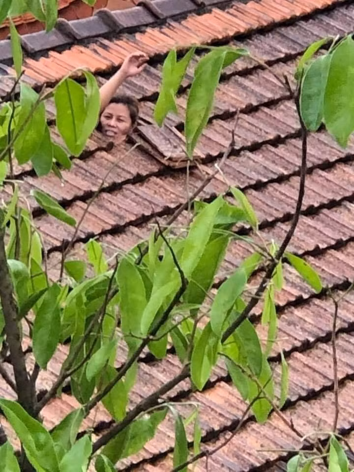 Từng hình ảnh, từng đoạn clip khiến người dân cả nước quặn lòng, xót xa.