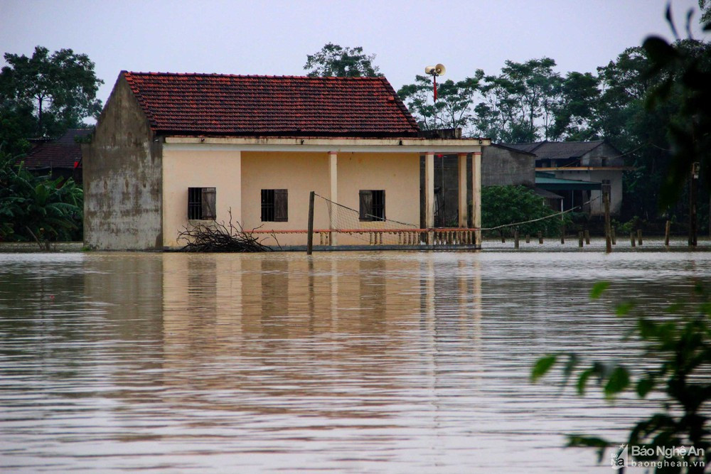 Nhà Văn hóa xóm 1, nơi thấp trũng nhất của xóm nước đã cao gần 2 mét. Ảnh Báo Nghệ An.