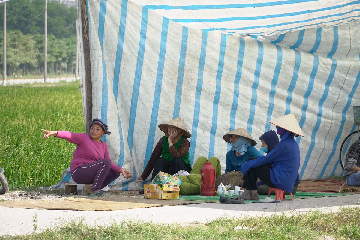 Ngoài ra, Phó Chủ tịch UBND TP yêu cầu Urenco lưu ý ý kiến của huyện Sóc Sơn liên quan đến xử lý mùi, kiểm tra xe vận chuyển rác làm rò rỉ nước ra đường. Đặc biệt, Phó Chủ tịch UBND TP Nguyễn Thế Hùng giao Sở GTVT tiến hành kiểm tra, xử lý nghiêm những trường hợp xe vận chuyển rác làm rò rỉ nước rác ra đường.