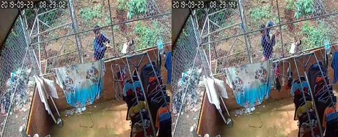 Theo chia sẻ của chị N.T, khoảng hơn 1 tuần trước đó, chị kiểm tra quần áo thì thấy thiếu một số đồ lót của mình. Thấy lạ và nghi ngờ có điều bất thường, chị T. quay chiếc camera của gia đình hướng về phía khu vực phơi đồ thì sau đó bất ngờ ghi lại được hình ảnh một người đàn ông khoảng 30 tuổi dùng cây gỗ khều móc phơi đồ lót của chị T. ra phía hàng rào phía sau. 