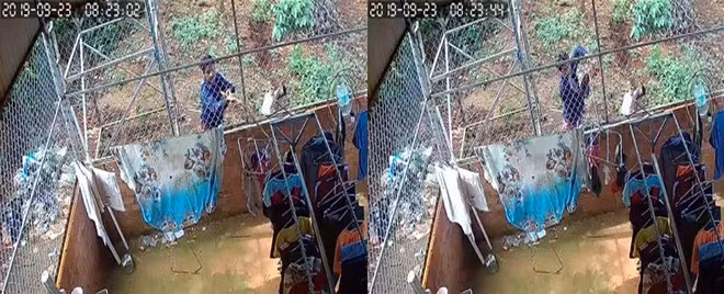 Theo chia sẻ của chị N.T, khoảng hơn 1 tuần trước đó, chị kiểm tra quần áo thì thấy thiếu một số đồ lót của mình. Thấy lạ và nghi ngờ có điều bất thường, chị T. quay chiếc camera của gia đình hướng về phía khu vực phơi đồ thì sau đó bất ngờ ghi lại được hình ảnh một người đàn ông khoảng 30 tuổi dùng cây gỗ khều móc phơi đồ lót của chị T. ra phía hàng rào phía sau. 