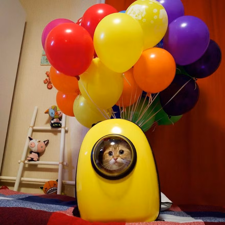 Trong ảnh là Hosico và chuyến phiêu lưu, khám phá trong tưởng tượng của mình. (Nguồn Bored Panda)