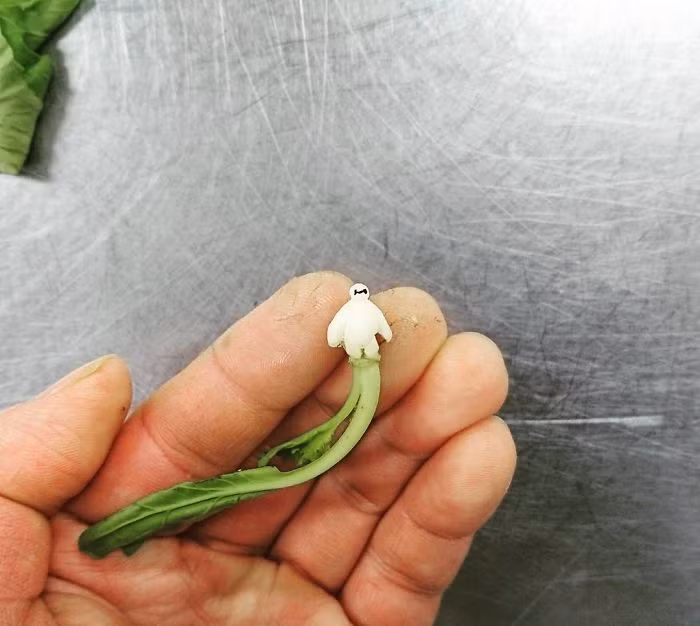 Khoảng 8 tháng trước đây, Gaku bắt đầu chia sẻ những tác phẩm đầu tiên của mình trên trang Instagram cá nhân, thu hút đông đảo sự chú ý của cư dân mạng. (Nguồn Bored Panda)