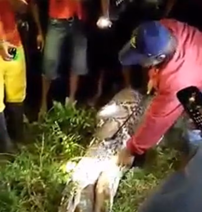 Được biết, vợ của Akbar là cô Munu đã đi ra ngoài làm ăn xa, hoàn toàn không biết đến sự mất tích cũng như cái chết thương tâm của chồng trước khi nhìn thấy những hình ảnh kinh hoàng được đăng tải trên những phương tiện thông tin đại chúng. (Nguồn Dailymail)