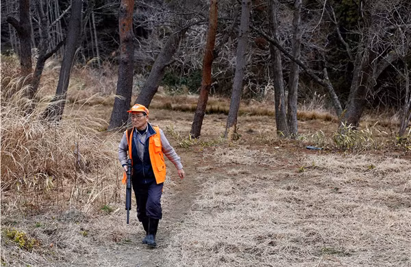 Để có thể tiêu diệt được chúng, chính quyền địa phương ở các thị trấn thuộc Fukushima đã thuê các đội thợ săn chuyên nghiệp để đảm bảo xử lý an toàn và gọn gàng. (Nguồn Sina)