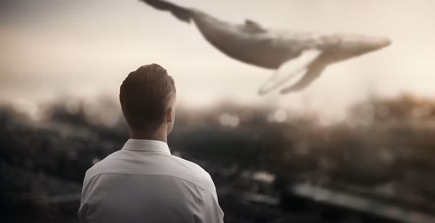 Đối với nhiếp ảnh gia, đó thực sự là khoảnh khắc kỳ diệu, cho thấy tình yêu vẫn luôn tồn tại trên thế giới này, ở dạng này hay dạng khác đều rất đáng trân trọng. (Nguồn Bored Panda)