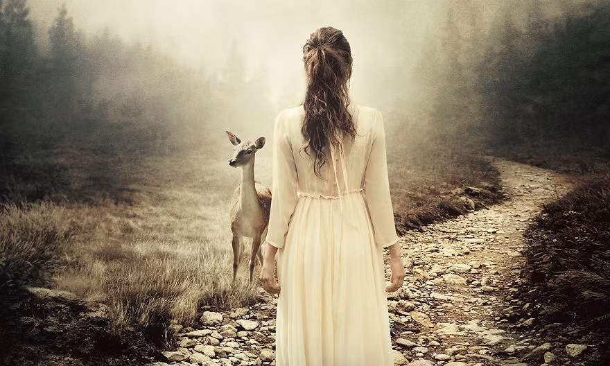 Trong suốt 10 năm, Martin Stranka đã có cơ hội được tiếp xúc, gặp gỡ, trò chuyện và chứng kiến nhiều con người tốt bụng, sẵn sàng cứu giúp những động vật hoang dã đang gặp nguy. (Nguồn Bored Panda)