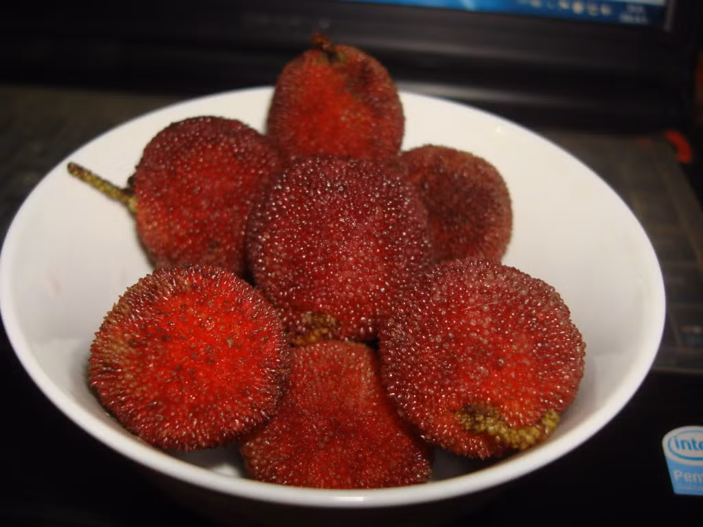 Những tài liệu cổ này cho biết, thanh mai (giang mai) có vị chua, ngọt, tính bình.