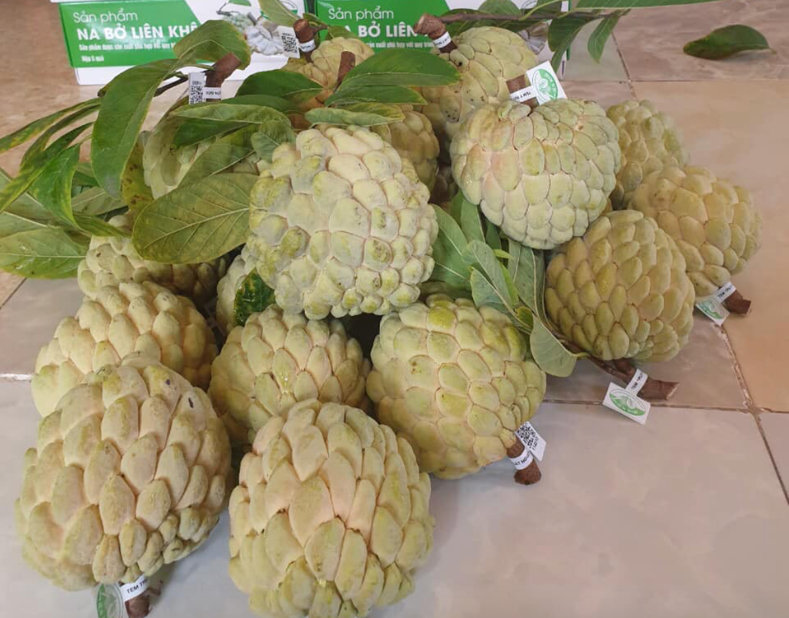 Loai qua ‘mo mat’ dua ve pho ban 250 nghin/kg-Hinh-2