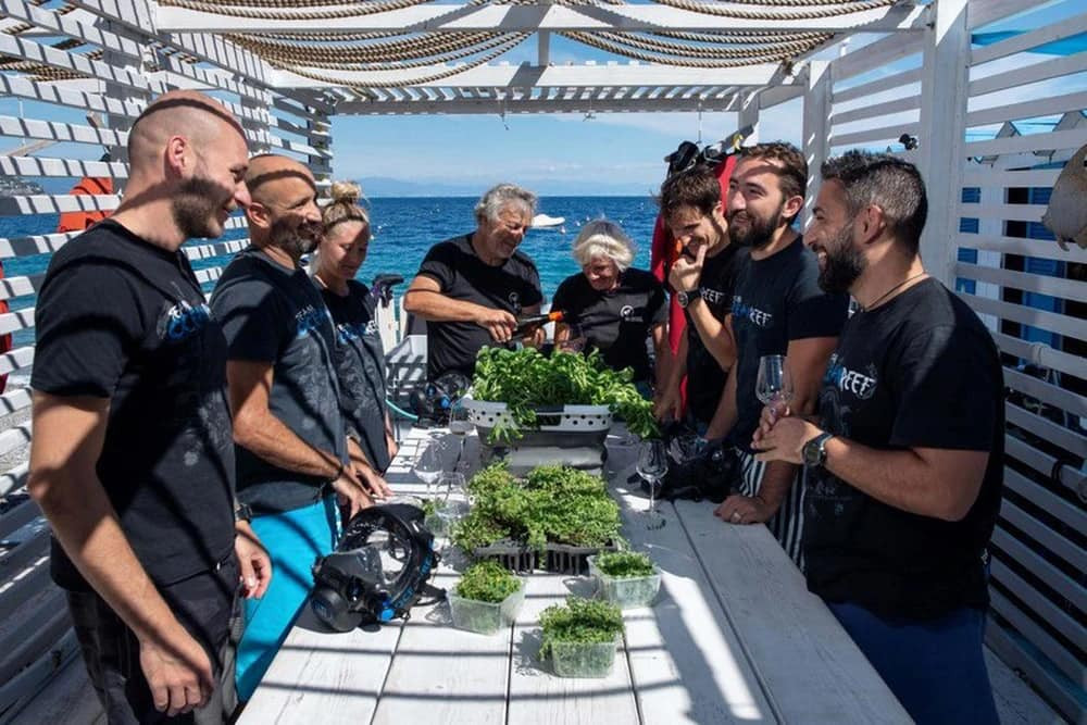 Các sản phẩm sau khi thu hoạch đều cho kết quả kiểm tra hàm lượng tinh dầu và chất chống oxy hoá cao hơn.