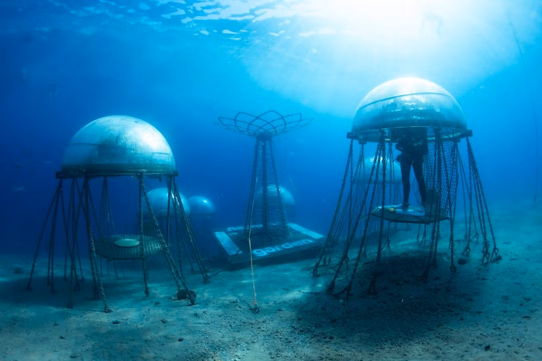 ... nằm dưới độ sâu 8 mét ngoài khơi biển Noli thuộc tỉnh Liguria nước Ý.