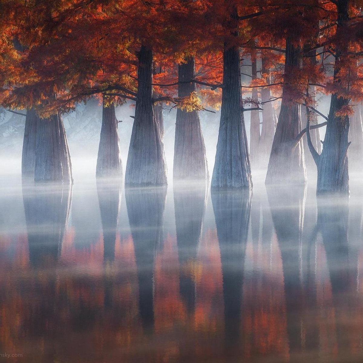 Lý do là thời điểm này có ít người qua lại, mặt hồ yên bình tĩnh lặng, mặt trời vừa mới "thức giấc" tạo ra tia sáng mờ ảo cho cảm giác những cây bách được bao bọc trong một thứ ánh sáng dịu dàng và có một làn khói nhẹ bốc lên từ mặt nước.