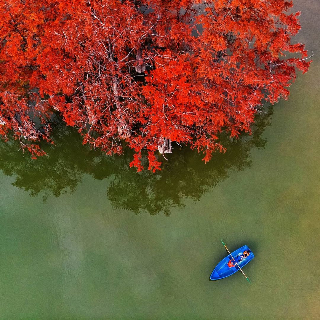 Nhờ sự chăm sóc cẩn thận, những cây con đã bén rễ, phát triển và sinh trưởng.