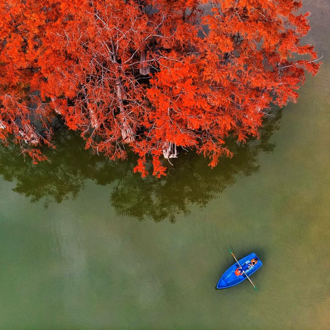 Nhờ sự chăm sóc cẩn thận, những cây con đã bén rễ, phát triển và sinh trưởng.
