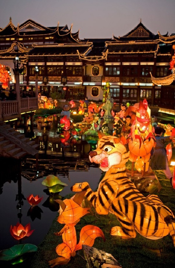 Hiếm hoi lắm mới có một chú hổ ở Thượng Hải "dữ dằn" như thế này nhưng vẫn khiến dân tình "cười ra nước mắt".