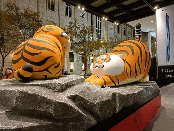 Ở Đài Loan, hổ cũng có thân hình "tròn vo"...