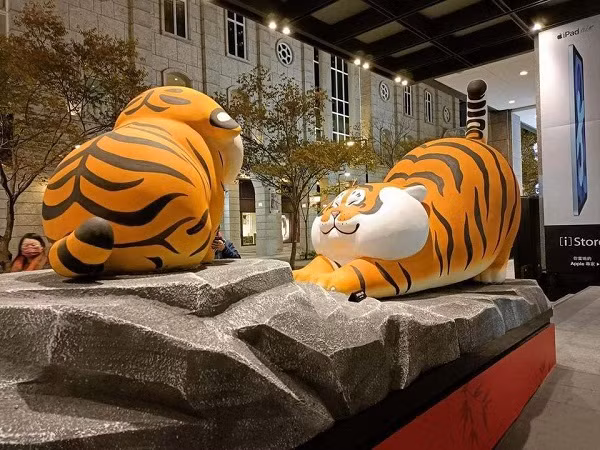 Ở Đài Loan, hổ cũng có thân hình "tròn vo"...