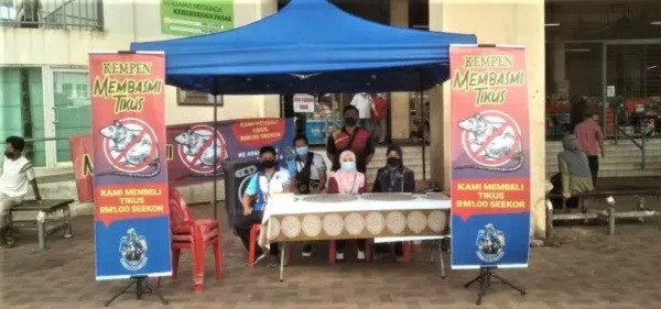 Hoi dong thanh pho bo tien ra mua chuot, nguyen nhan gay bat ngo