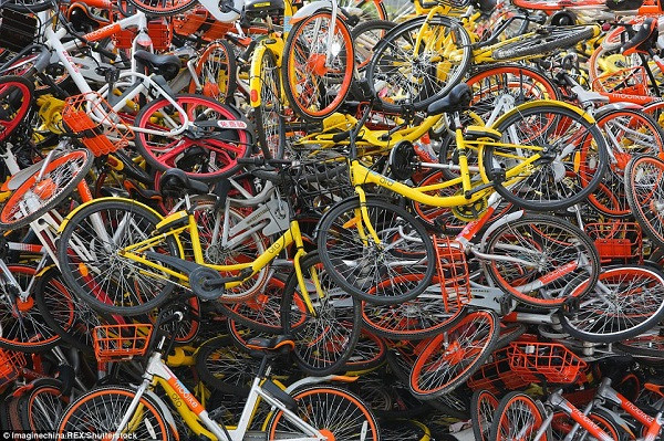 Tới cuối những năm 90, đầu 2000, Trung Quốc ban hành nhiều chính sách nhằm hạn chế xe đạp để thúc đẩy ngành công nghiệp ô tô.