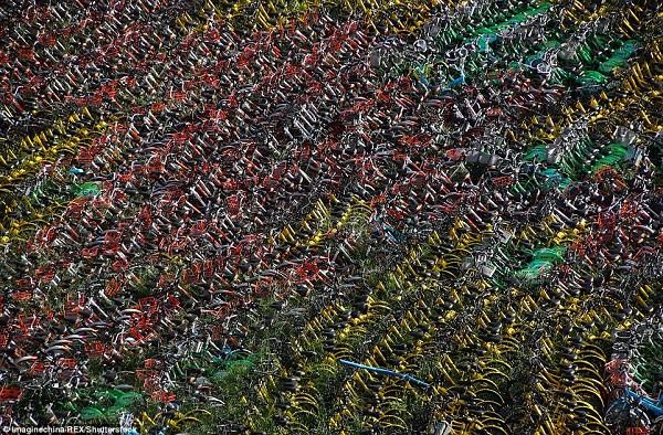 Xe đạp lúc này trở lại như "vị cứu tinh".