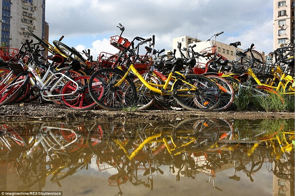 ... thì vẫn còn rất nhiều chiếc khác đang nằm dưới lòng sông.