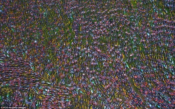 Cũng từ đây, các "nghĩa trang xe đạp" bắt đầu xuất hiện...