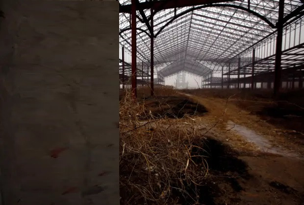 Cũng có đôi lúc, nơi đây được những du khách "hiếu kỳ" tới thăm quan, khám phá.