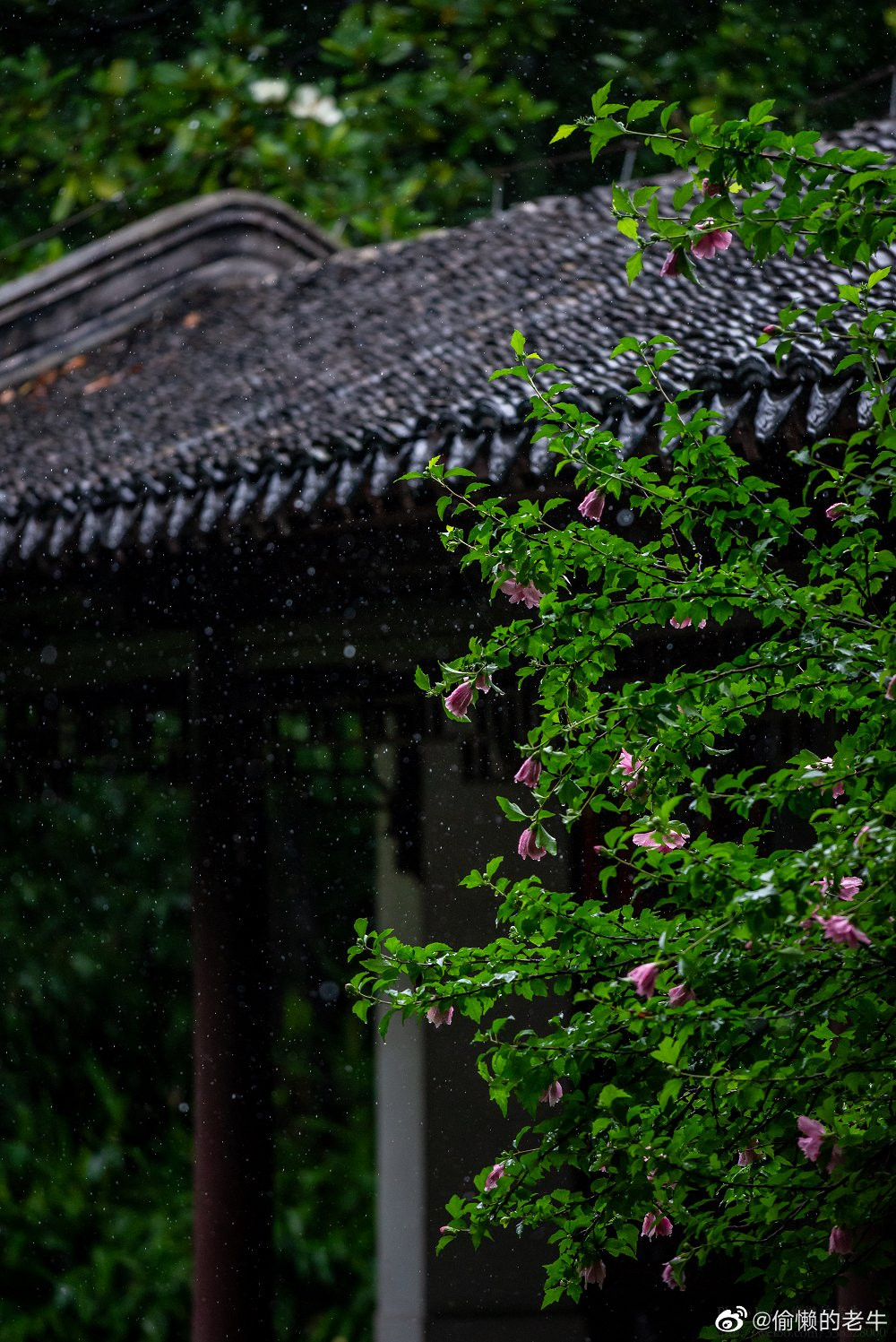 Đây là viên lâm cổ điển có lịch sử lâu đời nhất tại thành phố Nam Kinh, tỉnh Giang Tô, Trung Quốc.