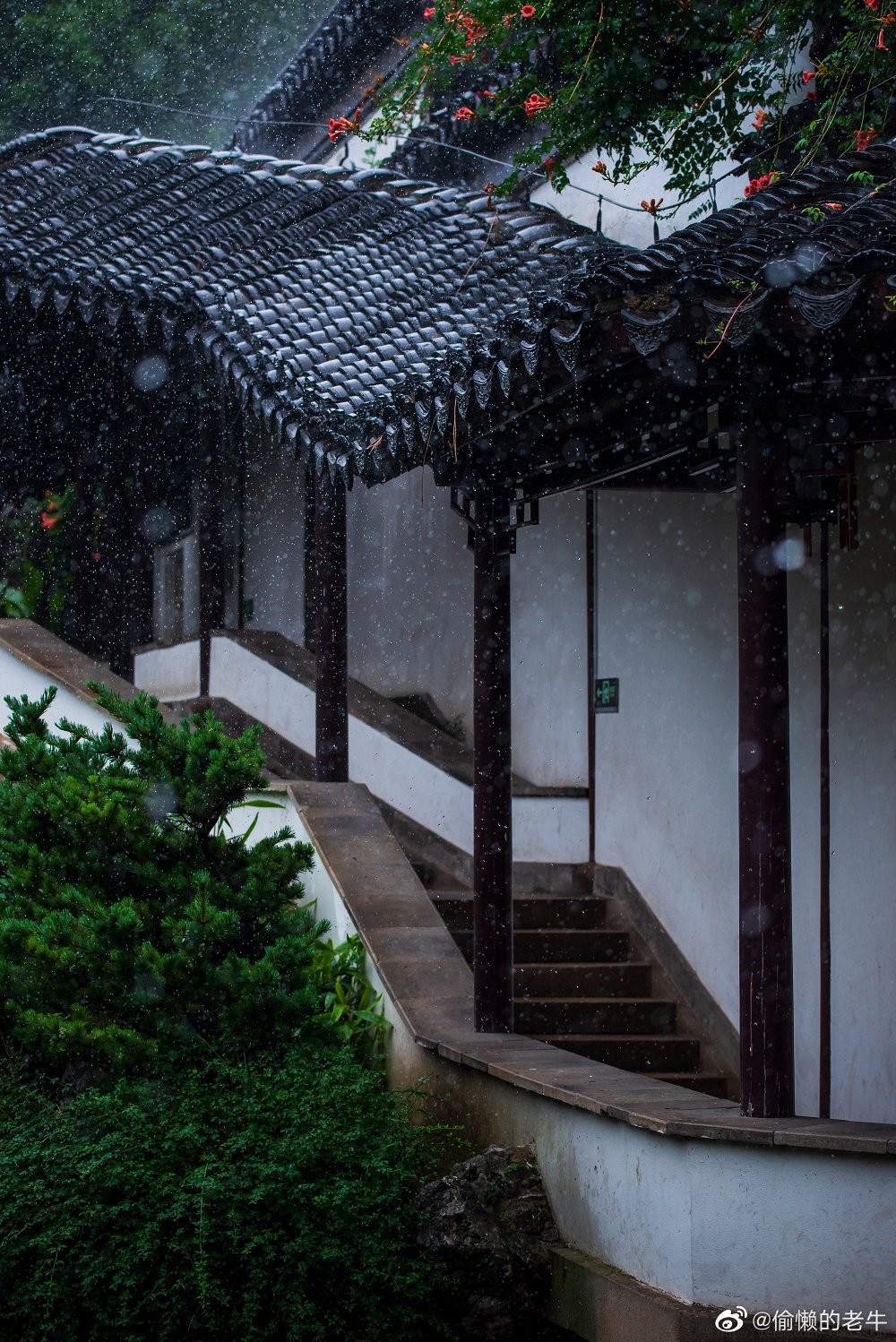 Được đương thời ca tụng là "Nam Đô đệ nhất viên", nơi đây sở hữu cảnh quan hiếm có và giá trị riêng biệt.