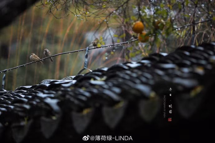 ... nhưng cũng đầy lãng mạn, làm xao xuyến lòng người.