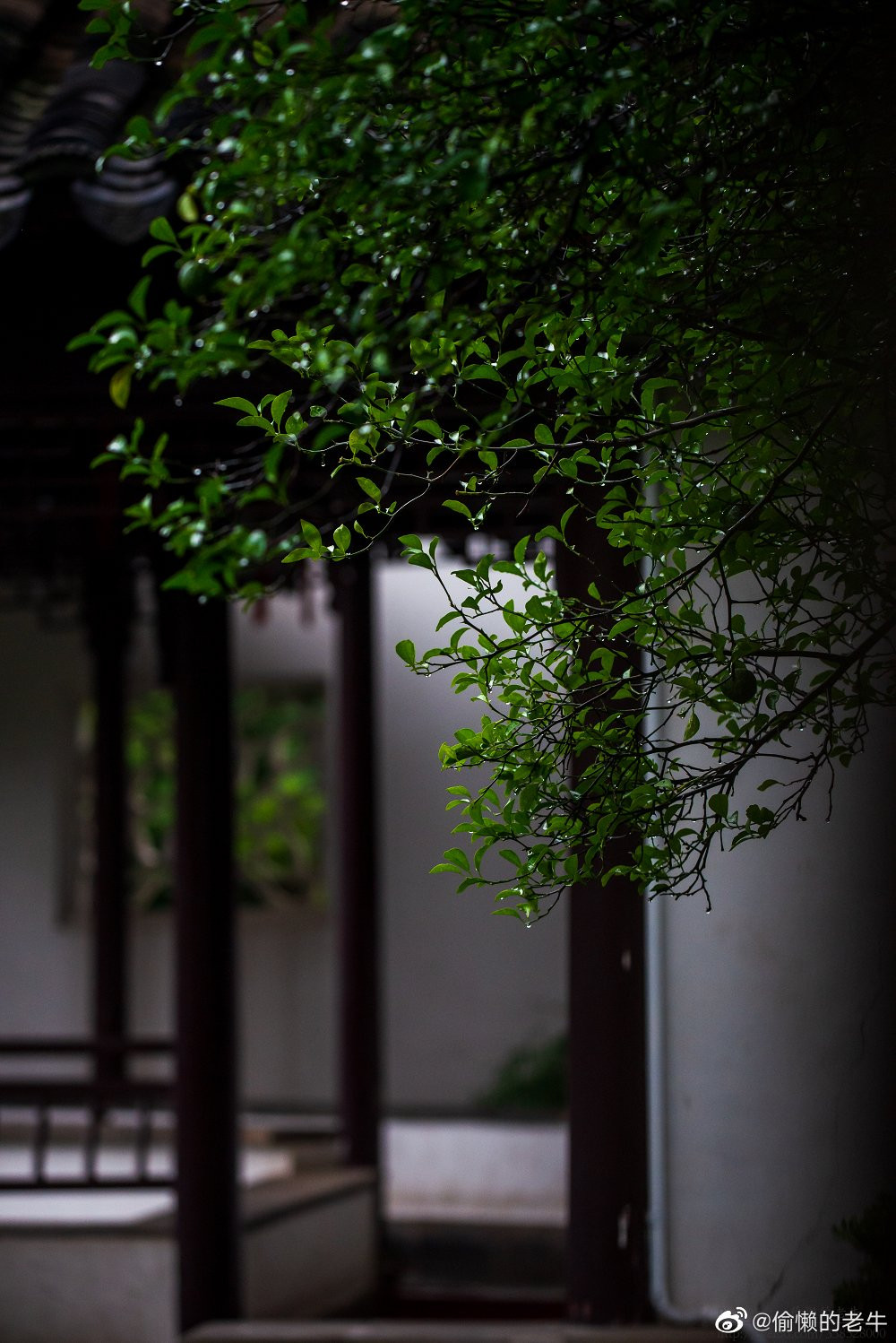 Theo nhiều người nhận xét, Chiêm viên mùa nào cũng đẹp,...