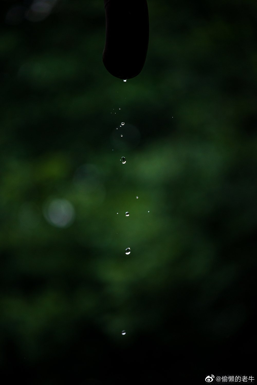 Nét cổ kính của công trình hòa trong những hạt mưa và mùi hương thơm mát, tạo nên khung cảnh buồn man mác...