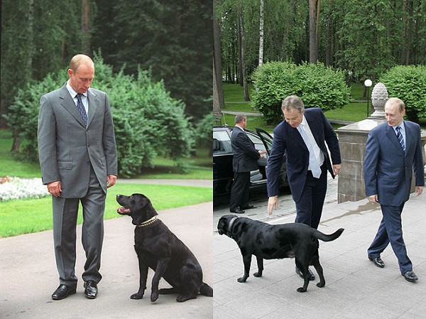 Konni qua đời vào năm 2014. Khi còn sống, nó thường xuất hiện bên cạnh Tổng thống Nga.