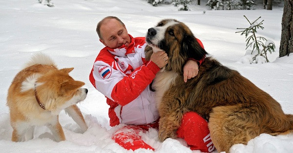Trong tiếng Nga, Verni có nghĩa là trung thành.