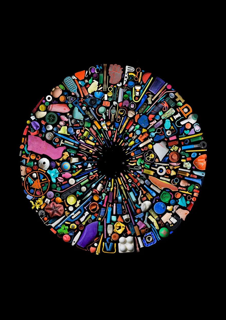 Hơn 500 mảnh vụn nhựa được tìm thấy trong đường tiêu hóa từ xác của một con chim Albatross ở vùng hải lưu phía bắc Thái Bình Dương.