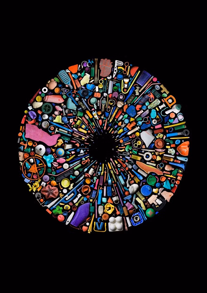 Hơn 500 mảnh vụn nhựa được tìm thấy trong đường tiêu hóa từ xác của một con chim Albatross ở vùng hải lưu phía bắc Thái Bình Dương.