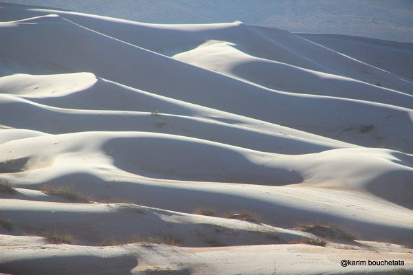 Tuy nhiên, đây cũng là minh chứng hùng hồn cho thấy khí hậu trên Trái Đất đang bị biến đổi theo những cách vô cùng khó tin.