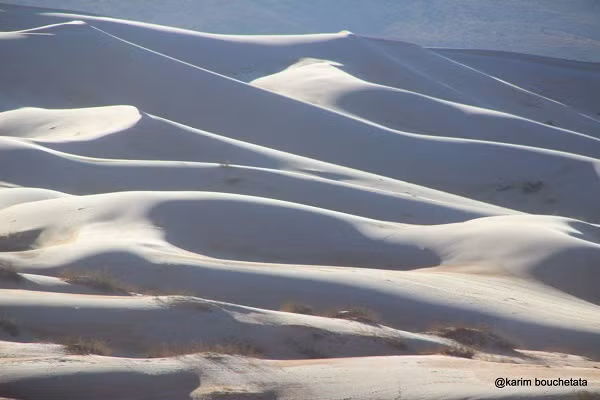 Tuy nhiên, đây cũng là minh chứng hùng hồn cho thấy khí hậu trên Trái Đất đang bị biến đổi theo những cách vô cùng khó tin.