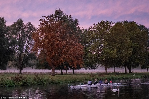 Màu hồng tím đẹp trong một buổi sáng sớm ở sông Cam. Ảnh: SWNS