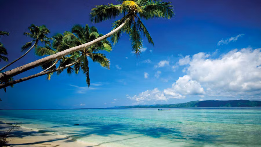 Choang ngop khung canh tai 