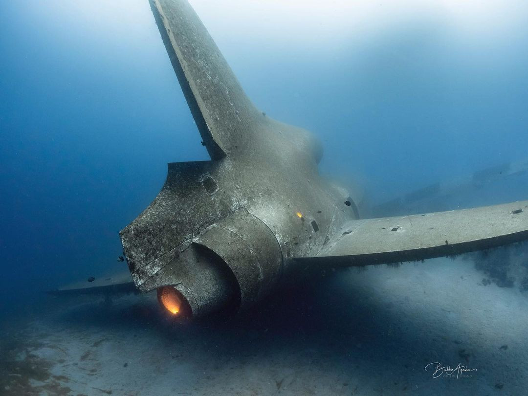 Trong đó phần đuôi máy bay nằm ở vị trí sâu nhất.