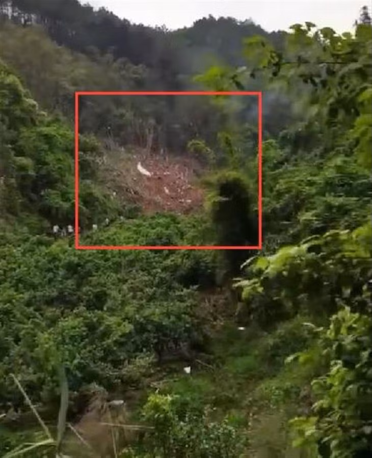 Một cán bộ địa phương tham gia cứu hộ chia sẻ với Jimu News, chiếc máy bay hoàn toàn vỡ vụn, không thấy hài cốt nạn nhân tại hiện trường.