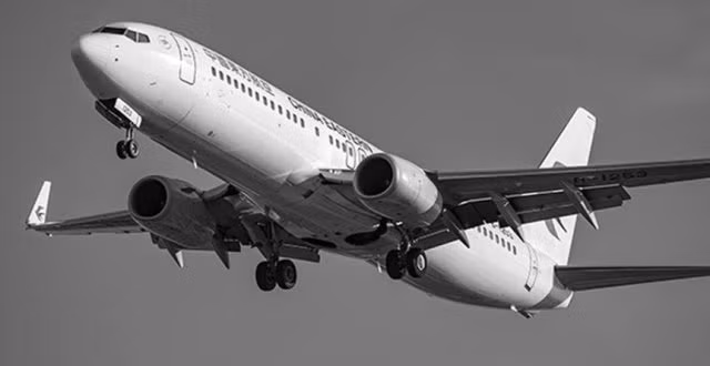 Sau sự cố, hãng hàng không China Eastern Airlines đã tạm dừng tất cả các chuyến bay vận hành bằng Boeing 737, trang web chính thức của hàng cũng đổi sang màu đen.