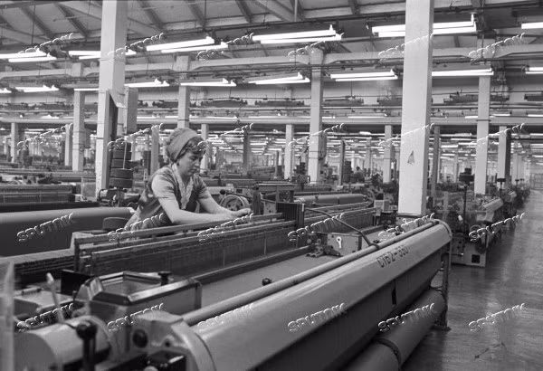 Đây cũng là lý do thành phố thu hút phụ nữ đến tìm việc làm.