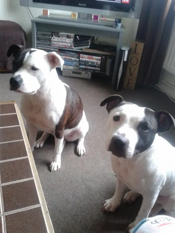 Me ngu quen, con trai 15 ngay tuoi bi cho nha tan cong da man