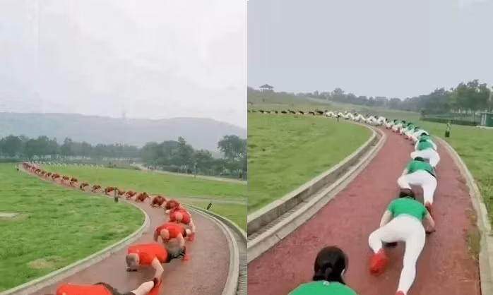 Kho hieu lop hoc “bo ca sau” chua benh dau lung o Trung Quoc