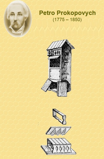 Petro Prokopovych sinh năm 1775 gần Chernihiv, Ukraine là người phát minh ra chiếc thùng nuôi ong mật có thể di chuyển đầu tiên trên thế giới. Nó không chỉ giúp thu hút ong dễ dàng hơn mà còn cho phép lấy mật mà không gây hại cho ong.