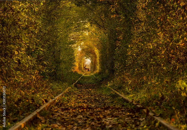 Đường hầm tình yêu cũng là cái tên mà du khách đặt cho nó.