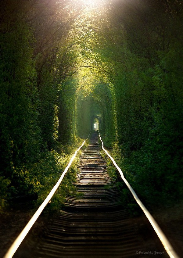 Toàn bộ tuyến đường dài khoảng 6,4 km, trong đó có khoảng 4,9 km được cây cối bao phủ.