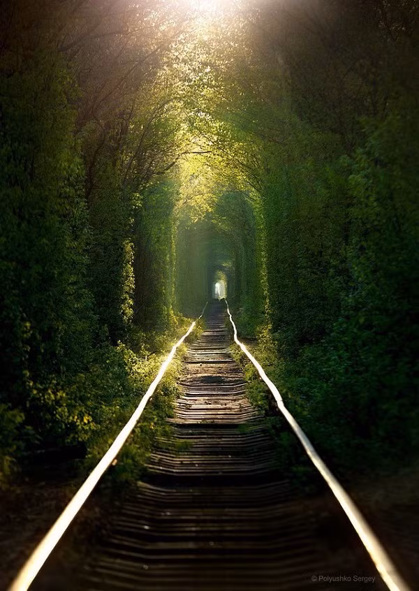 Toàn bộ tuyến đường dài khoảng 6,4 km, trong đó có khoảng 4,9 km được cây cối bao phủ.